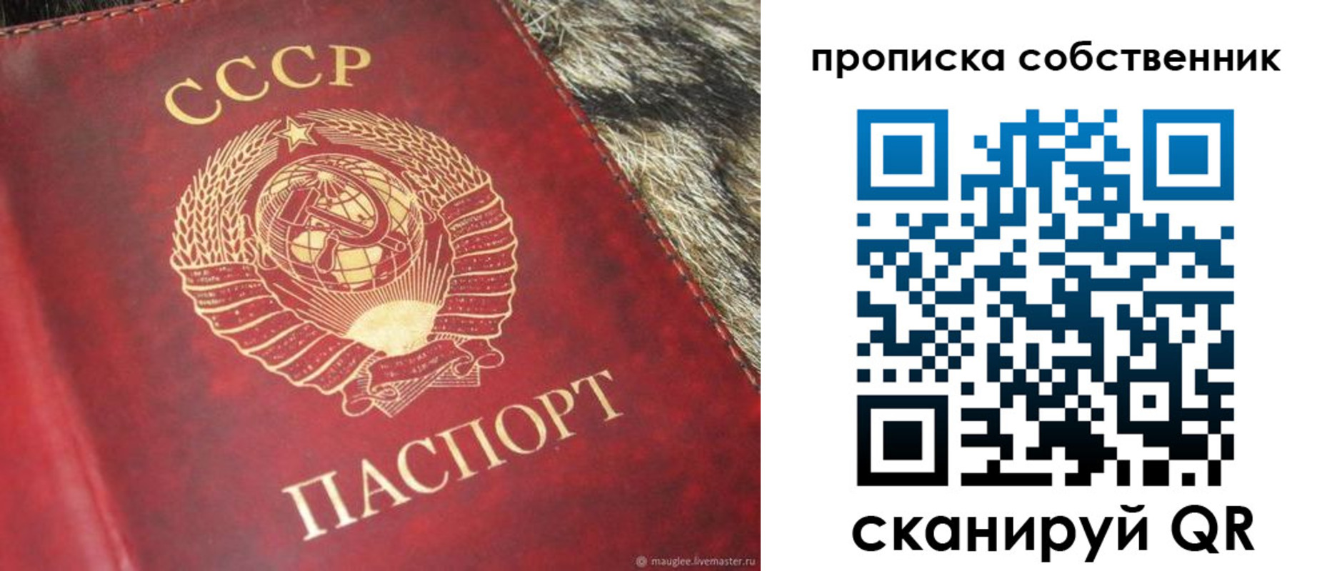 прописка в квартире в Горняке